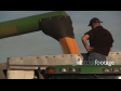 Maize Harvestor Unloads 4 1558